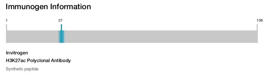 H3K27ac Polyclonal Antibody