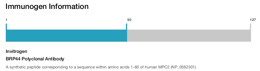 BRP44 Polyclonal Antibody