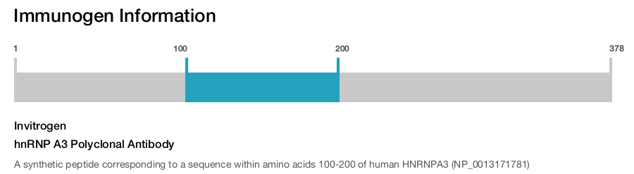 hnRNP A3 Polyclonal Antibody