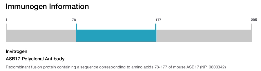 ASB17 Polyclonal Antibody