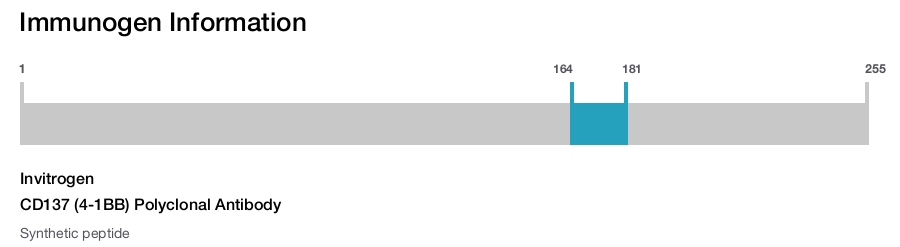 CD137 (4-1BB) Polyclonal Antibody