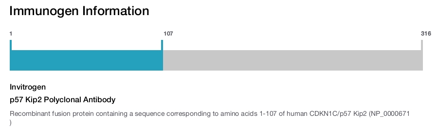 p57 Kip2 Polyclonal Antibody