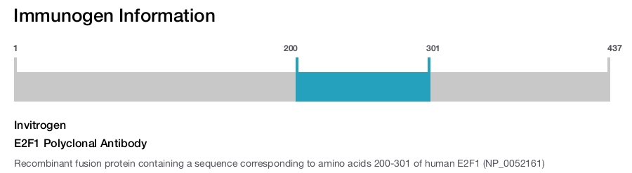 E2F1 Polyclonal Antibody