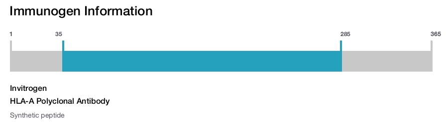 HLA-A Polyclonal Antibody