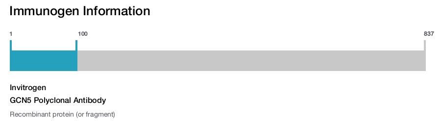 GCN5 Polyclonal Antibody