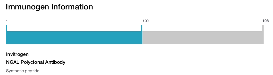 NGAL Polyclonal Antibody