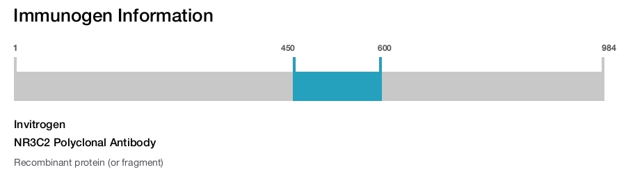 NR3C2 Polyclonal Antibody
