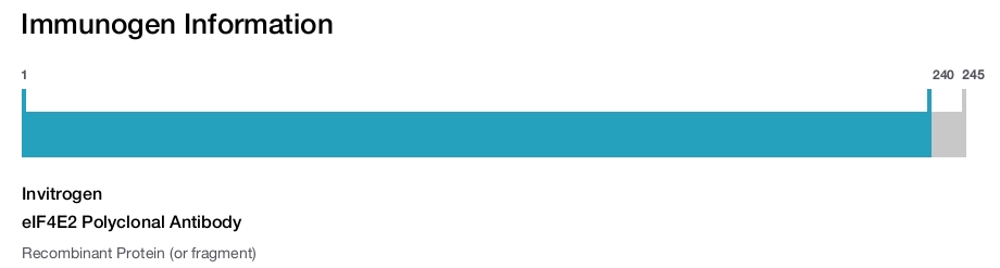 eIF4E2 Polyclonal Antibody