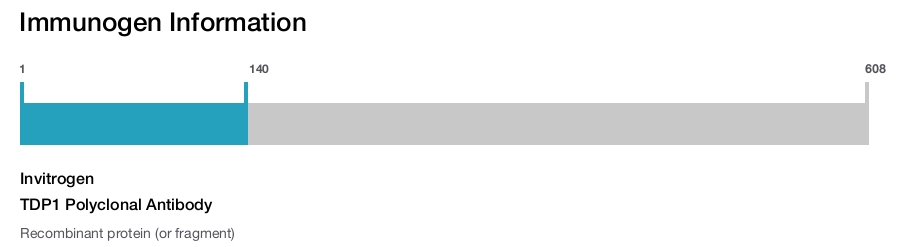 TDP1 Polyclonal Antibody