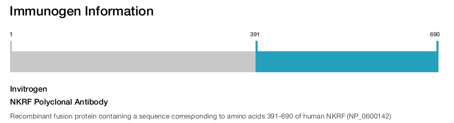 NKRF Polyclonal Antibody