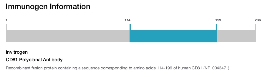 CD81 Polyclonal Antibody