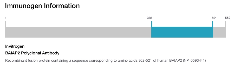BAIAP2 Polyclonal Antibody