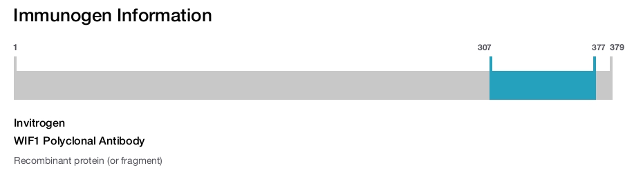 WIF1 Polyclonal Antibody