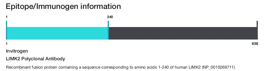 LIMK2 Polyclonal Antibody