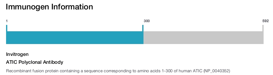 ATIC Polyclonal Antibody