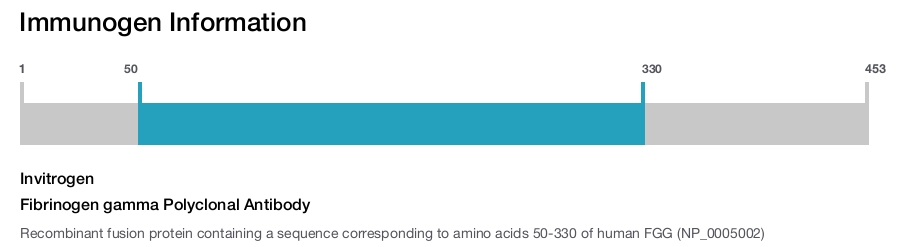 Fibrinogen gamma Polyclonal Antibody