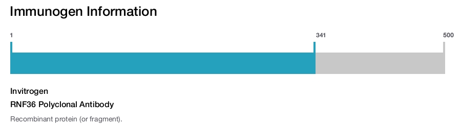 RNF36 Polyclonal Antibody