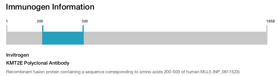 KMT2E Polyclonal Antibody