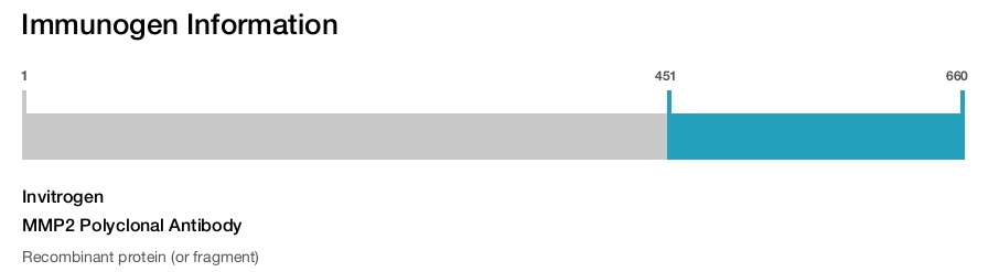 MMP2 Polyclonal Antibody