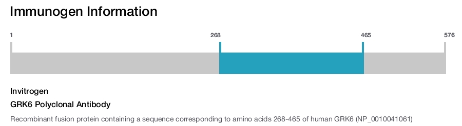 GRK6 Polyclonal Antibody