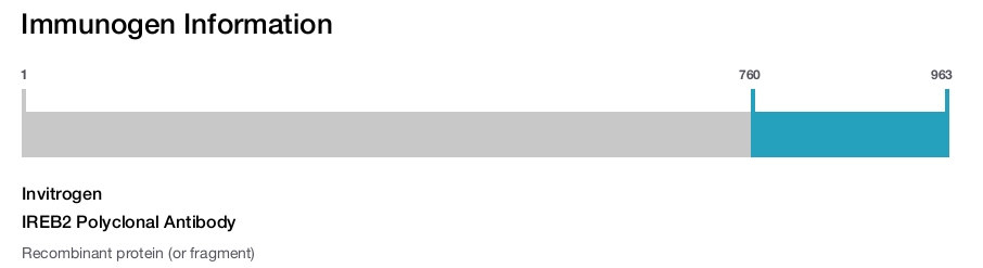 IREB2 Polyclonal Antibody