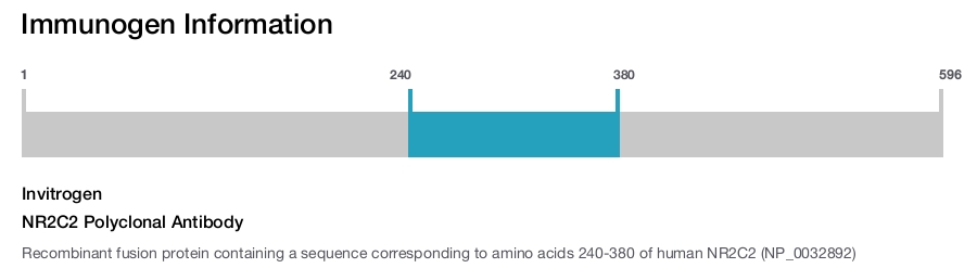 NR2C2 Polyclonal Antibody