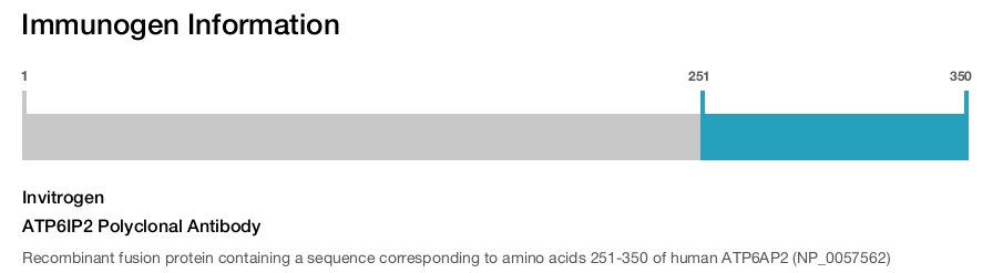ATP6IP2 Polyclonal Antibody