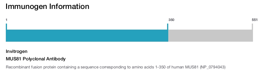 MUS81 Polyclonal Antibody