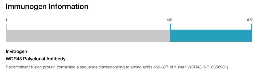 WDR48 Polyclonal Antibody