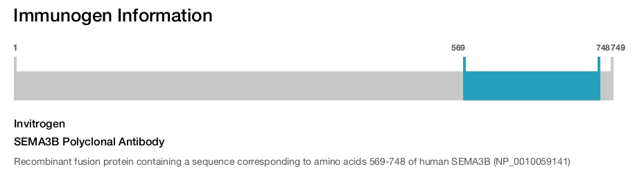 SEMA3B Polyclonal Antibody