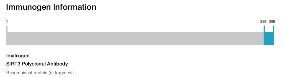 SIRT3 Polyclonal Antibody