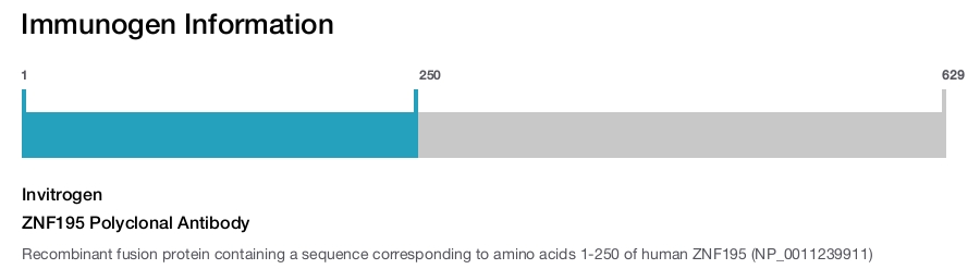 ZNF195 Polyclonal Antibody