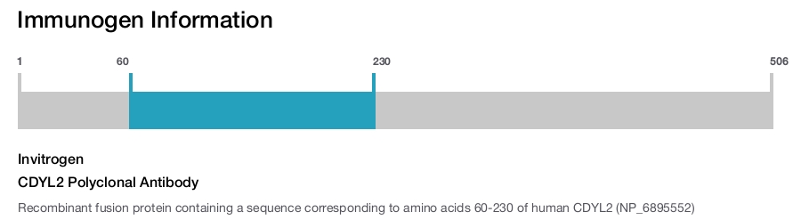 CDYL2 Polyclonal Antibody