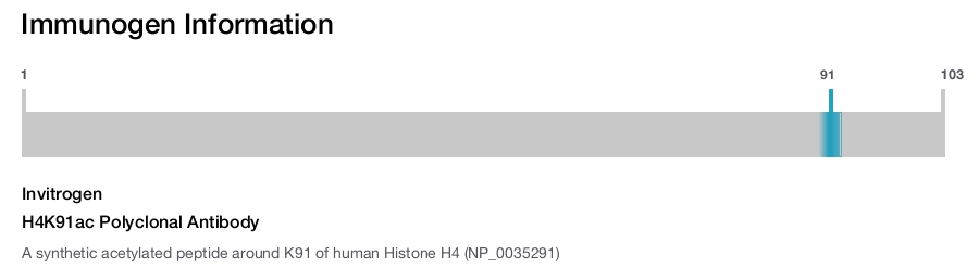 H4K91ac Polyclonal Antibody