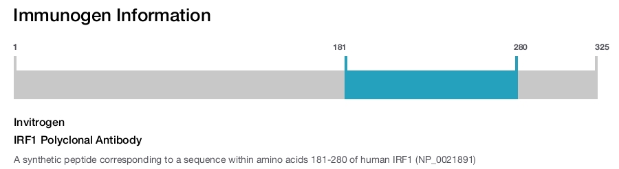 IRF1 Polyclonal Antibody
