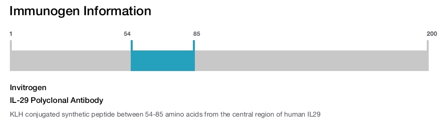 IL-29 Polyclonal Antibody