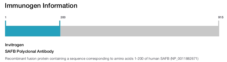SAFB Polyclonal Antibody