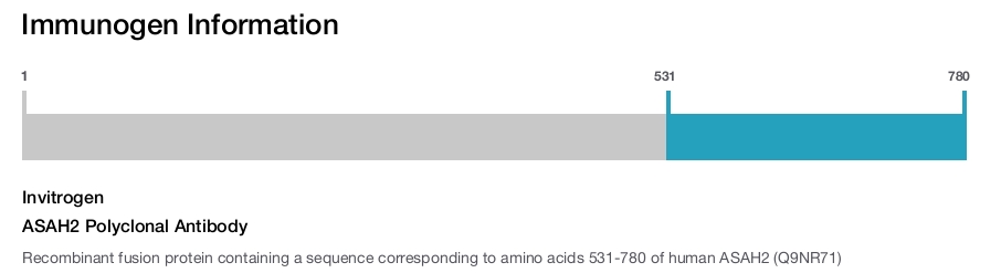 ASAH2 Polyclonal Antibody