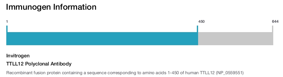 TTLL12 Polyclonal Antibody