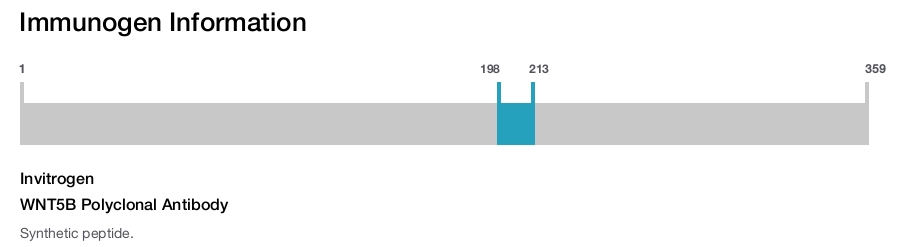 WNT5B Polyclonal Antibody