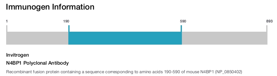 N4BP1 Polyclonal Antibody