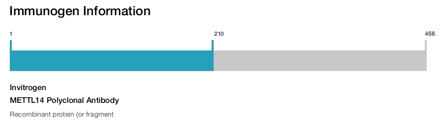 METTL14 Polyclonal Antibody