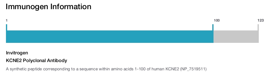 KCNE2 Polyclonal Antibody