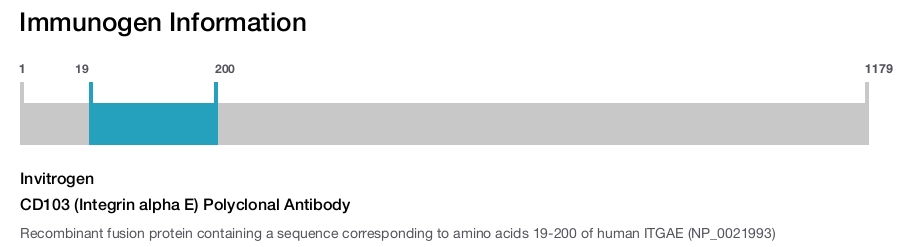 CD103 (Integrin alpha E) Polyclonal Antibody