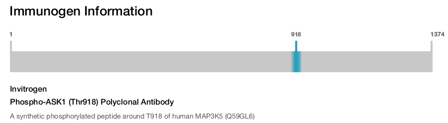 Phospho-ASK1 (Thr918) Polyclonal Antibody