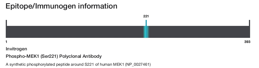Phospho-MEK1 (Ser221) Polyclonal Antibody