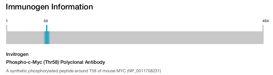 Phospho-c-Myc (Thr58) Polyclonal Antibody