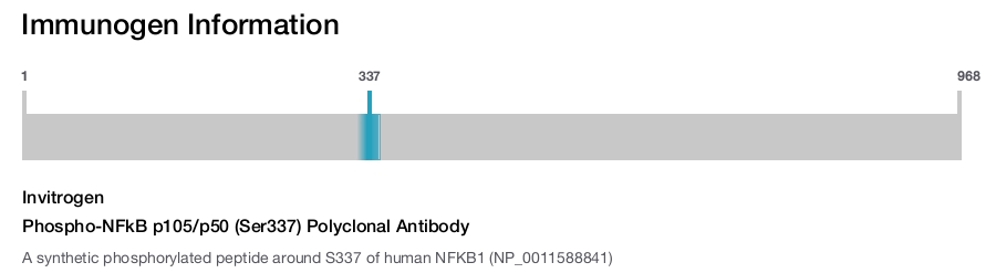 Phospho-NFkB p105/p50 (Ser337) Polyclonal Antibody