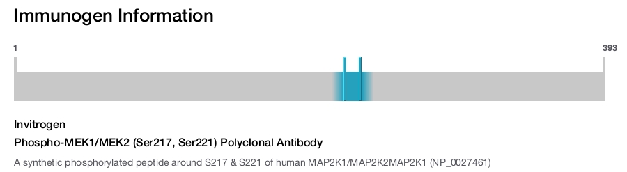 Phospho-MEK1/MEK2 (Ser217, Ser221) Polyclonal Antibody