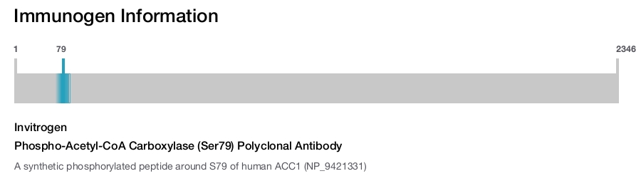 Phospho-Acetyl-CoA Carboxylase (Ser79) Polyclonal Antibody